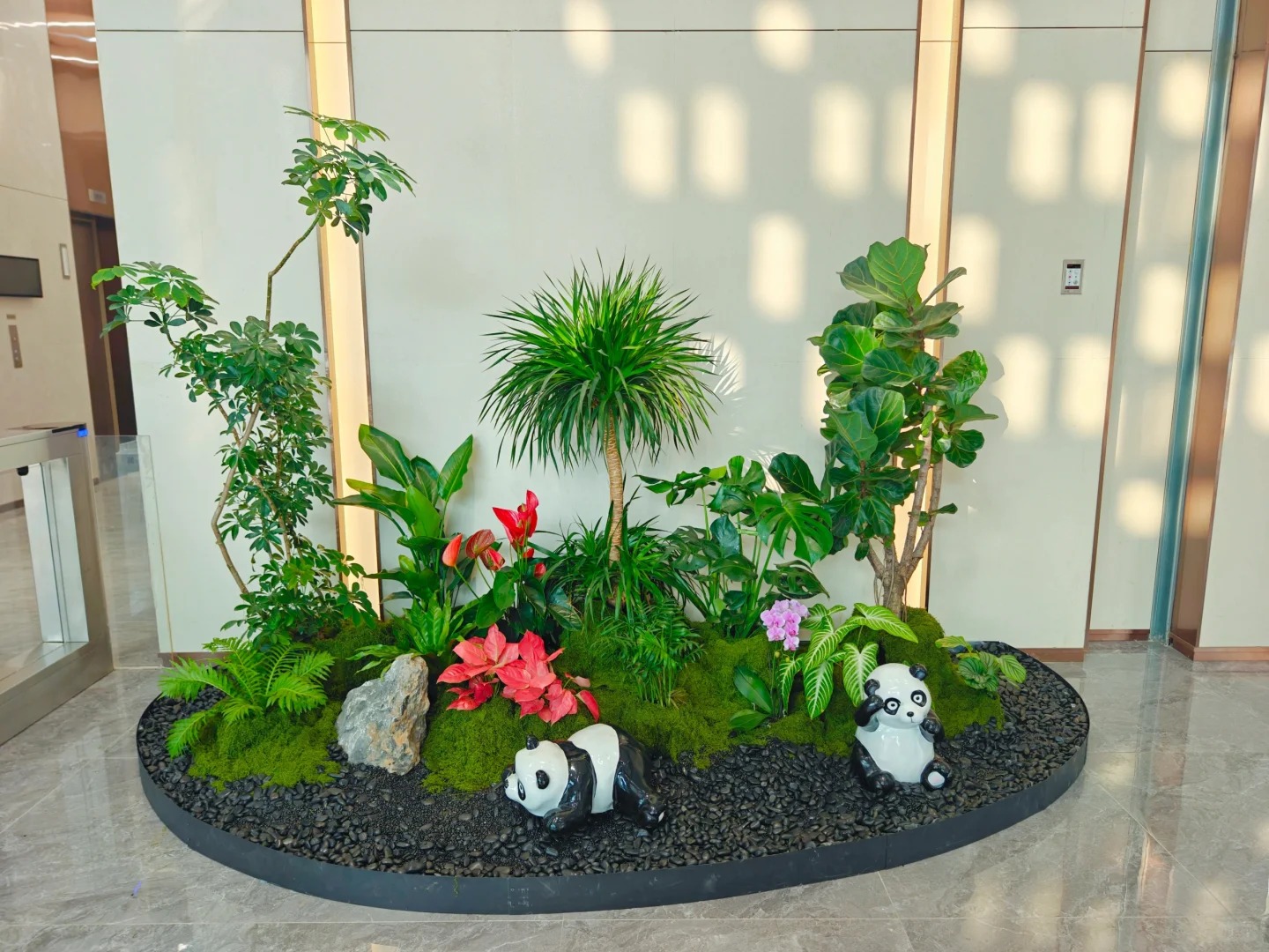 余姚盆景租摆挑花眼？这家是你的不二之选！